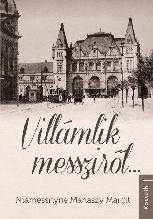 Villámlik messziről