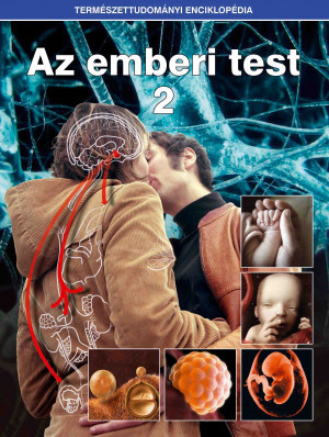 Természettudományi enciklopédia 10. kötet - Az emberi test 2.