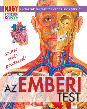 Nagy poszterkönyv – Az emberi test